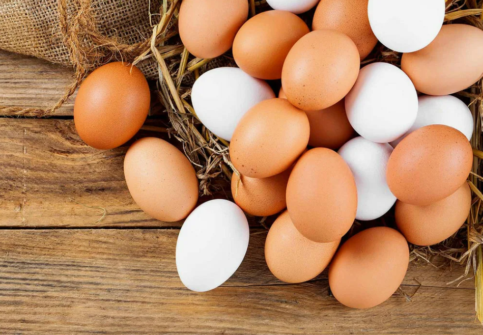 اسعار البيض اليوم1 اسعار البيض اليوم1